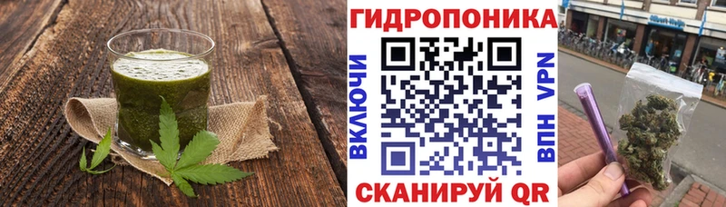 Cannafood марихуана  это состав  Гдов 